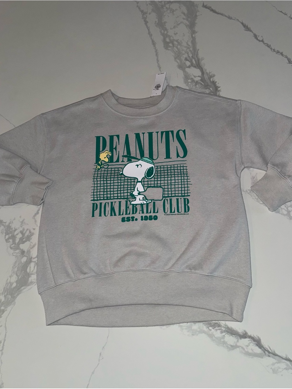 Peanuts Snoopy Girls Oversized Sweatshirt Size 6-7 (S)